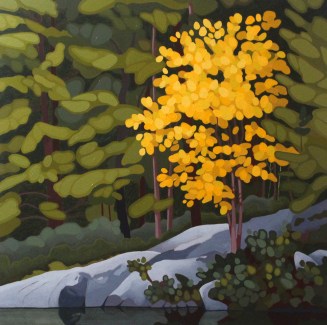 Wolf Lake Birch, 30 x 30, Acrylic on canvas, 2017