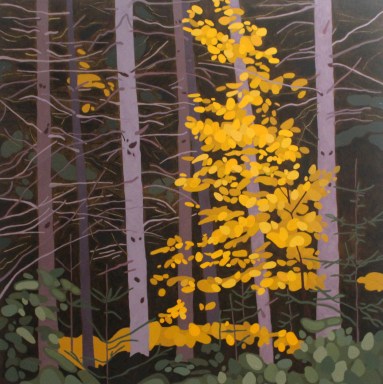 Pine Trunks and Birch, 2018, 36 x 36, Acrylic on Canvas