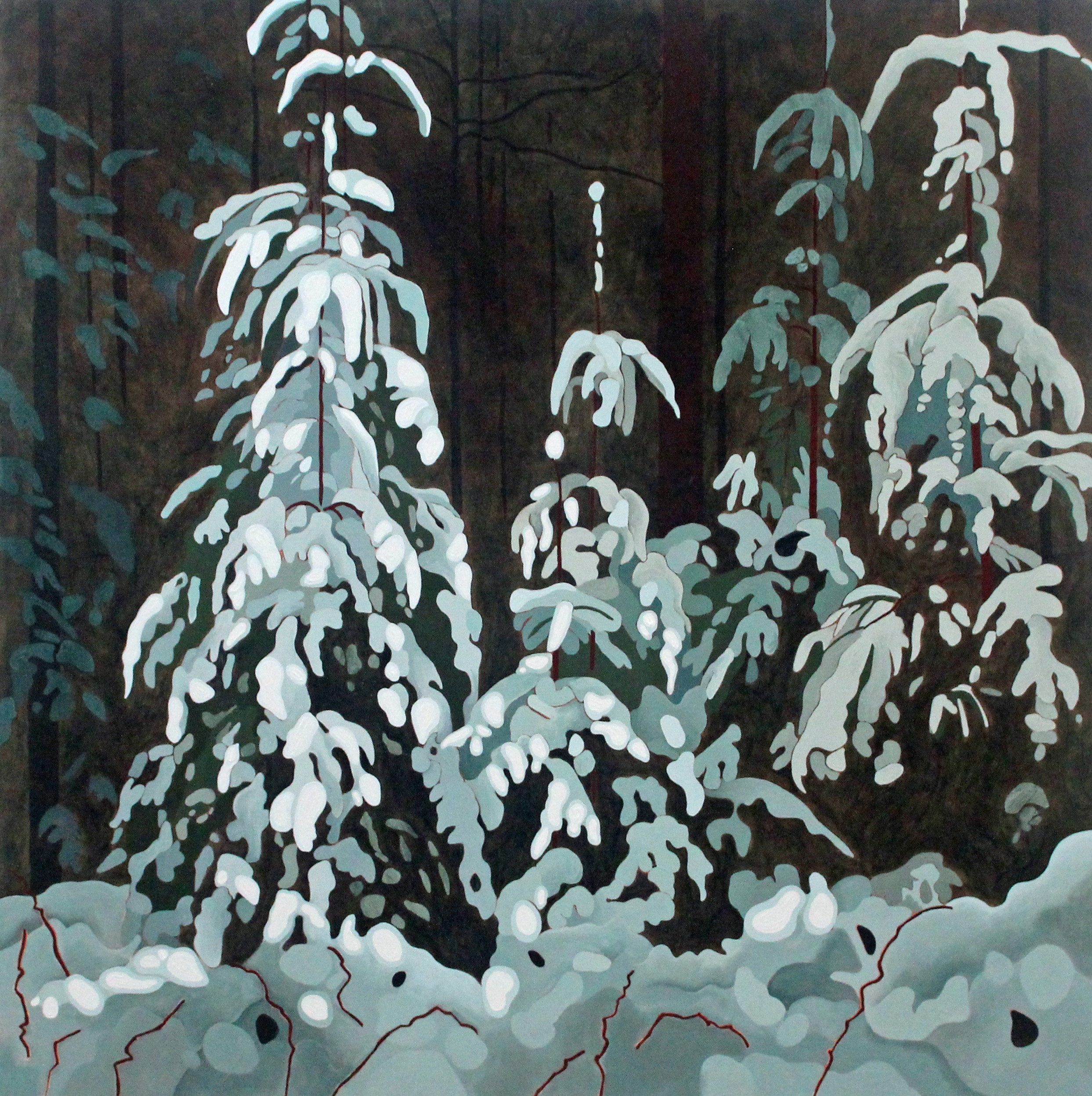 Snow Covered Spruce, 2020, 30 x 30, Acrylic on Canvas