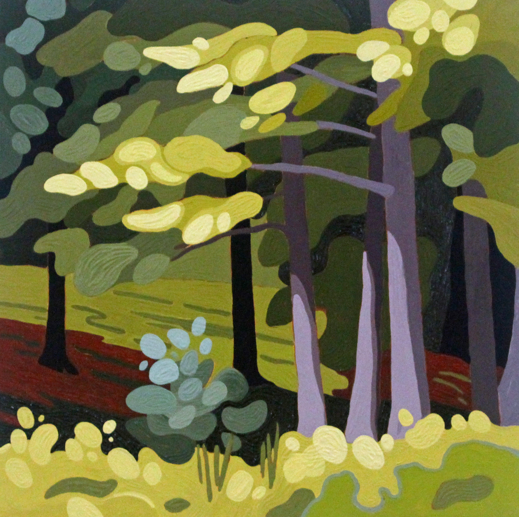 White Pine Boughs, 2020, 12 x 12, Acrylic on Wood Panel